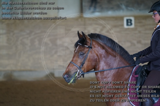 s_K3F03215.JPG
